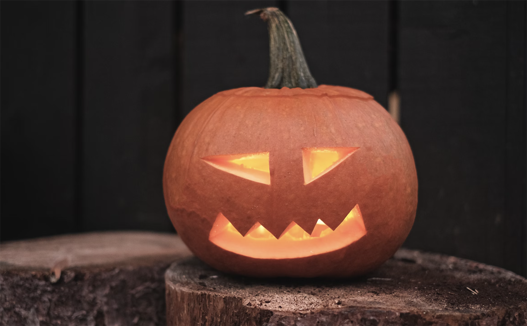 4 Fun Activities in Centennial for Halloween